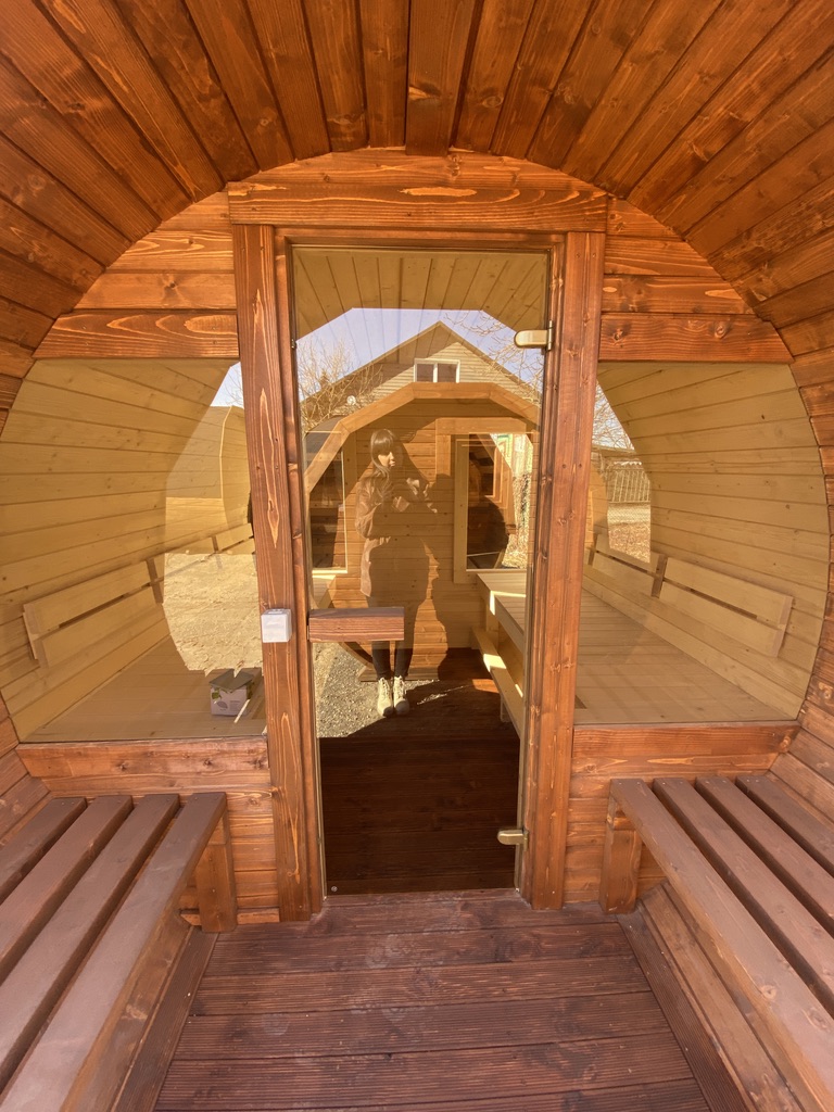 Bee eye windows 0003